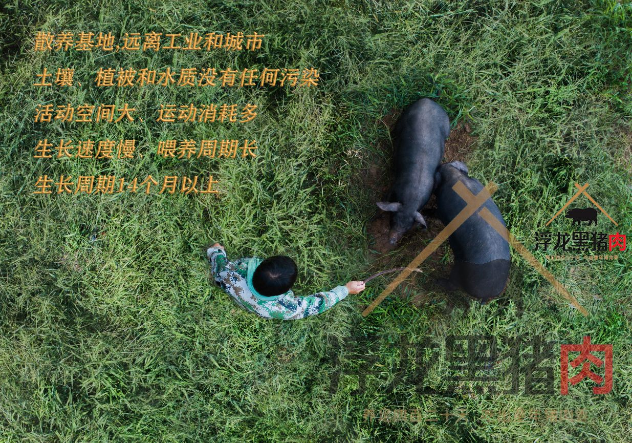 浮龙秘制灌肠(图2)