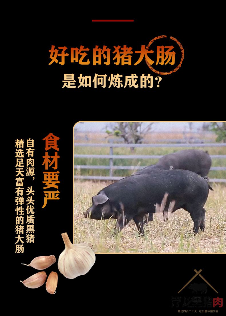 酱猪大肠 浮龙熟食(图3)