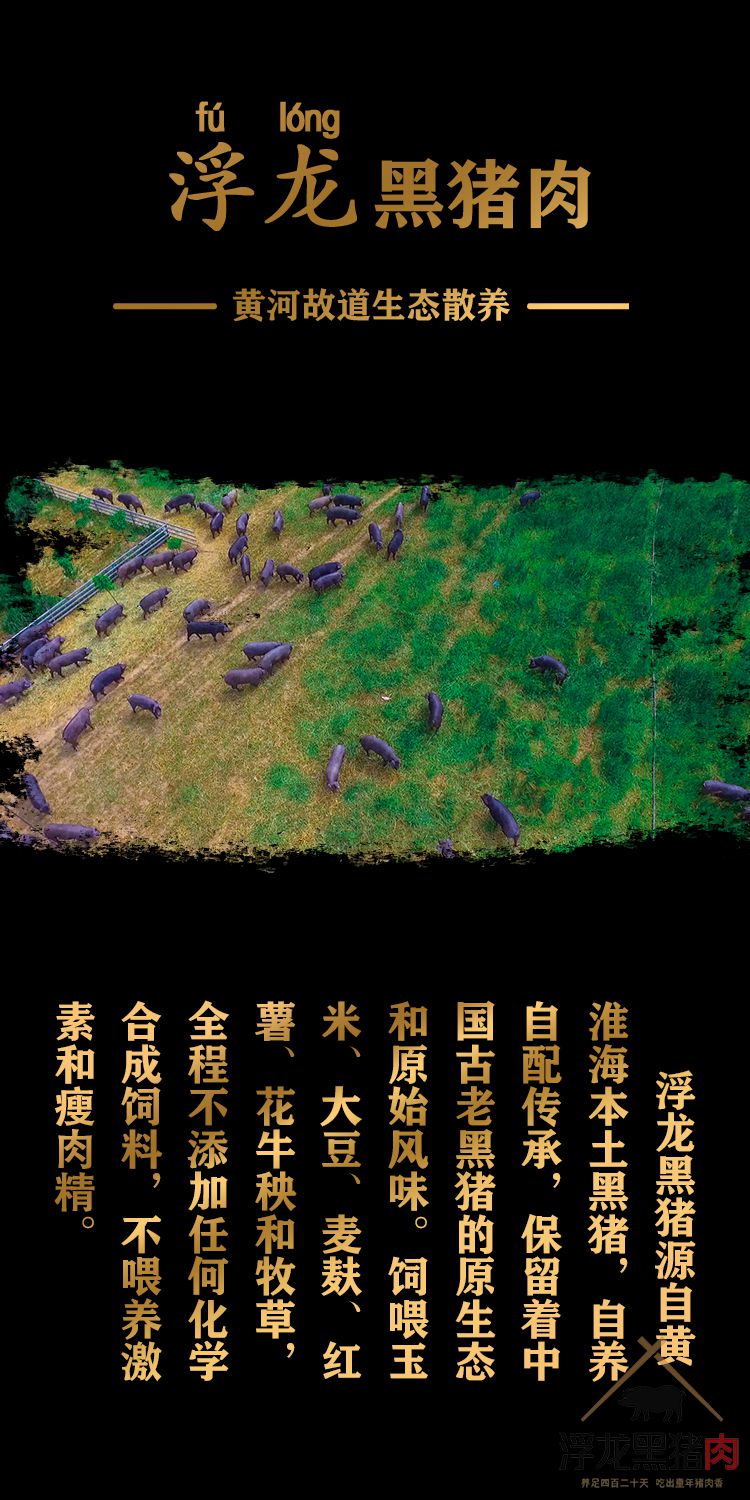 五花肉 生态黑猪肉(图1)